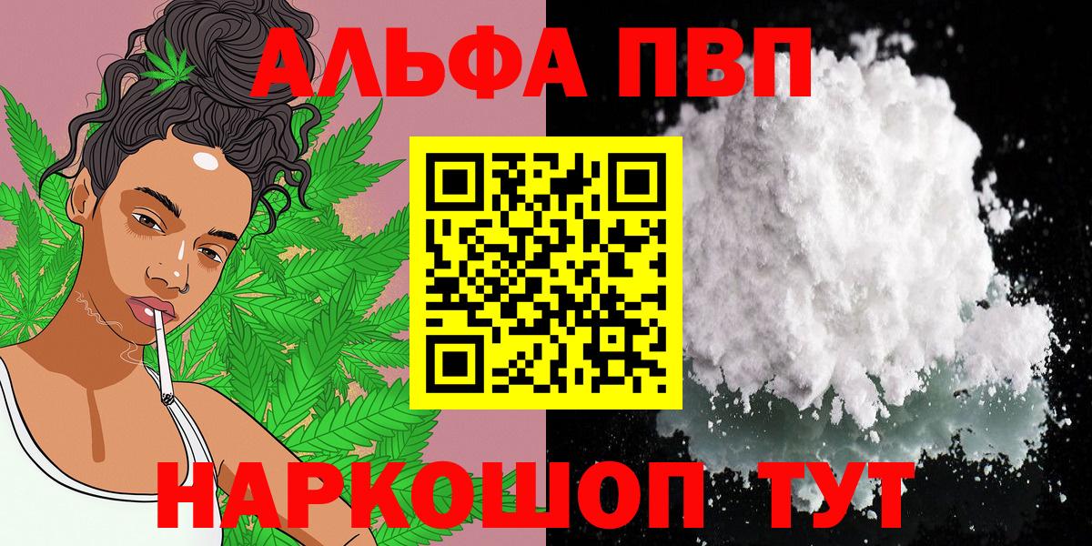 A PVP СК КРИС Абакан